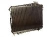 Radiateur Radiator:19010-PD2-674