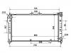 المشعاع Radiator:BPH5-15-200