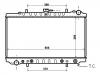Radiator Radiator:21460-74N00