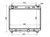 散热器 Radiator:16400-0N050