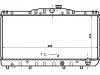 Radiator:16400-64110