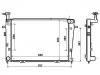 Radiateur Radiator:25310-2E100