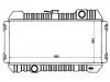 Heizkörper Radiator:21400-19W00