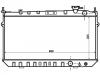 Radiator:19010-PG7-003