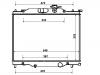 Radiator Radiator:P53W-15-200
