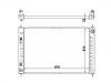 المشعاع Radiator:21460-1AA0A